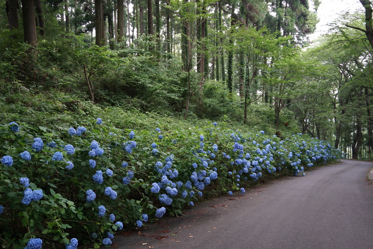 f:id:tokyo_sotai:20190627145642j:plain f:id:tokyo_sotai:20190627145642j:plain