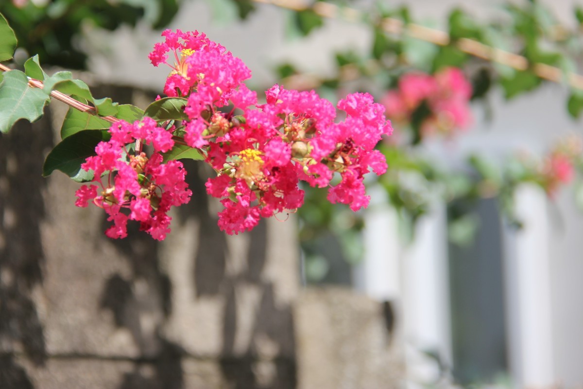 f:id:tokyo_sotai:20190907134315j:plain