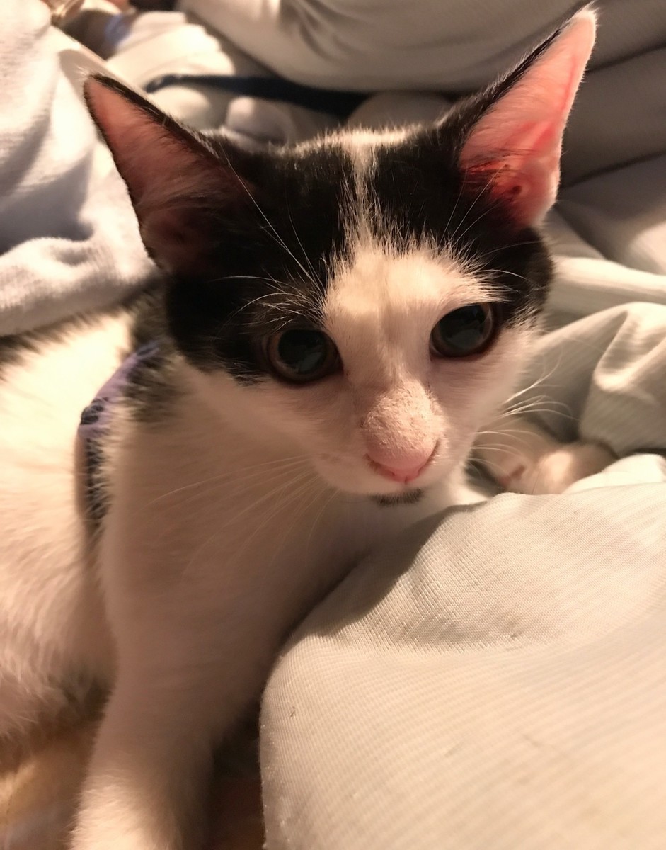 f:id:tokyo_sotai:20190919114646j:plain f:id:tokyo_sotai:20190919114646j:plain