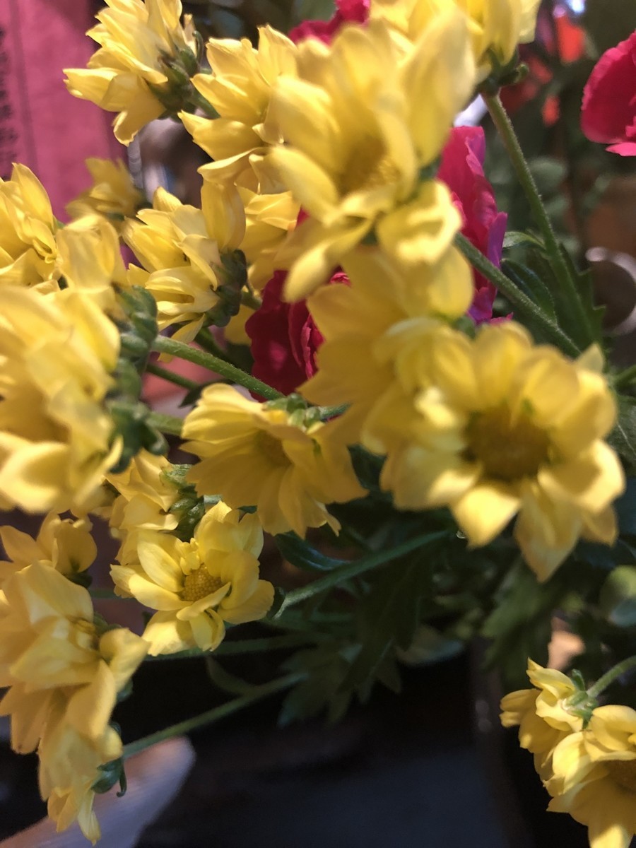 f:id:tokyo_sotai:20190928112758j:plain f:id:tokyo_sotai:20190928112758j:plain