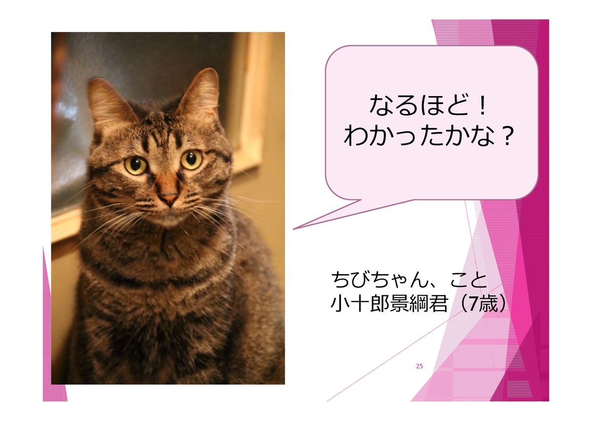 f:id:tokyo_sotai:20191203131653j:plain