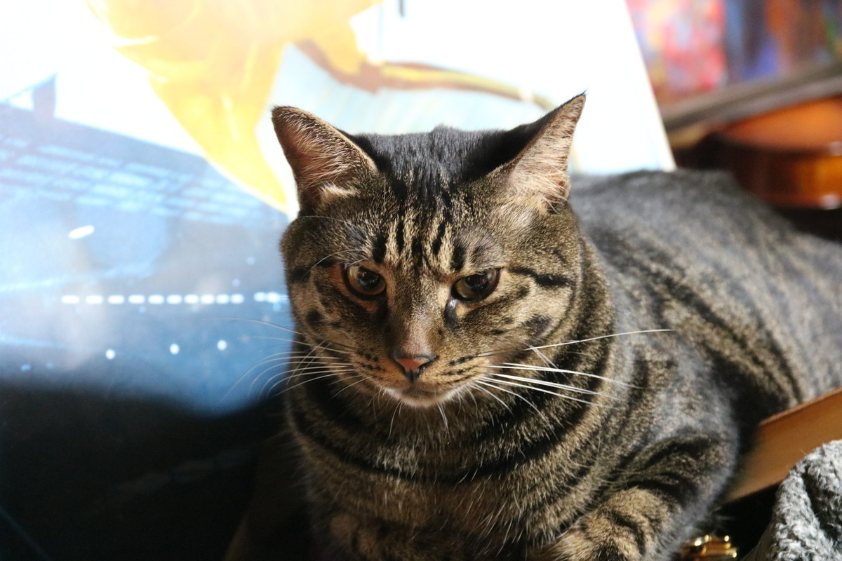 f:id:tokyo_sotai:20200902215301j:plain