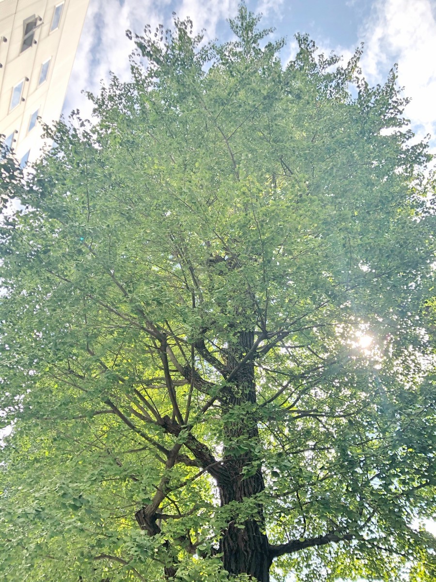 f:id:tokyo_sotai:20201005135006j:plain f:id:tokyo_sotai:20201005135006j:plain