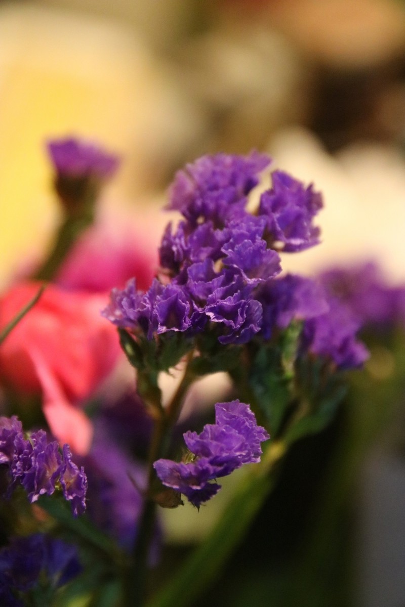 f:id:tokyo_sotai:20201217134122j:plain