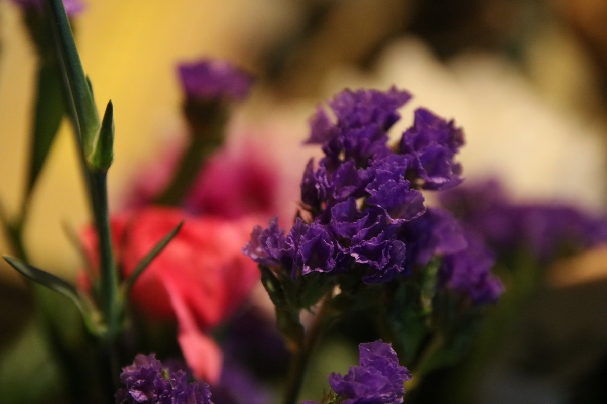 f:id:tokyo_sotai:20201217140524j:plain