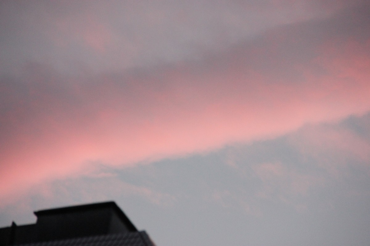 f:id:tokyo_sotai:20201225131133j:plain