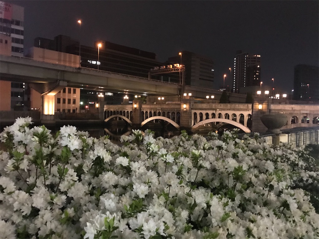 f:id:tokyoblue5:20210721020349j:image