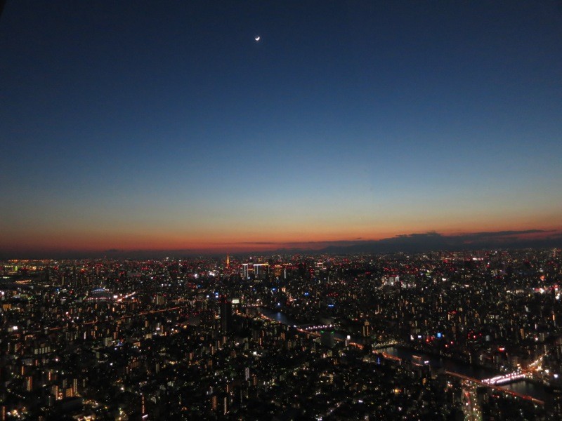 f:id:tokyocat:20140116061902j:image