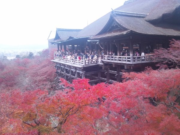 f:id:tokyocat:20151229114535j:image