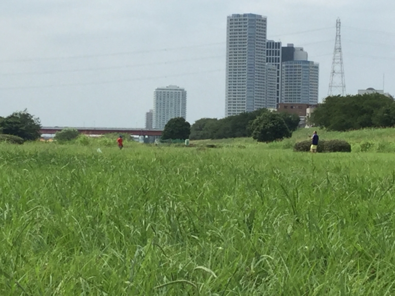 東京クバーノス キューバ 草野球 世田谷区 等々力 多摩川