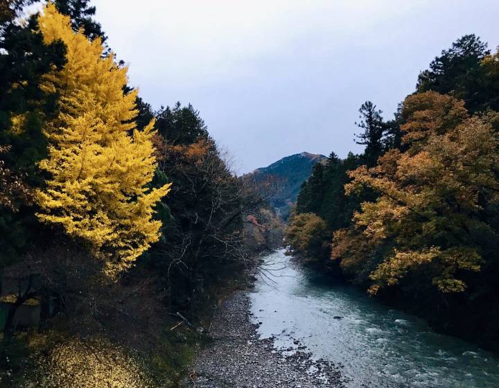 f:id:tokyodahayat:20200423103640j:plain