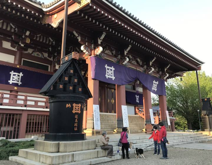 f:id:tokyodahayat:20200501144625j:plain