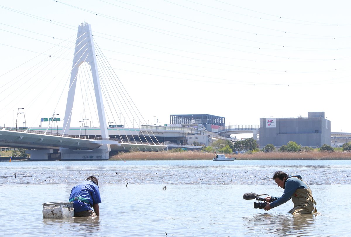 f:id:tokyohigata:20190718104756j:plain f:id:tokyohigata:20190718104756j:plain