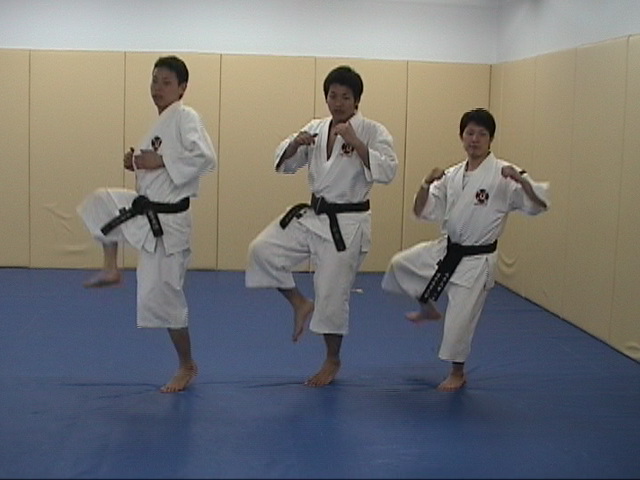 f:id:tokyohighschoolshorinjikempo:20170527081726j:plain f:id:tokyohighschoolshorinjikempo:20170527081726j:plain