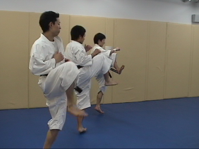 f:id:tokyohighschoolshorinjikempo:20170527081733j:plain f:id:tokyohighschoolshorinjikempo:20170527081733j:plain