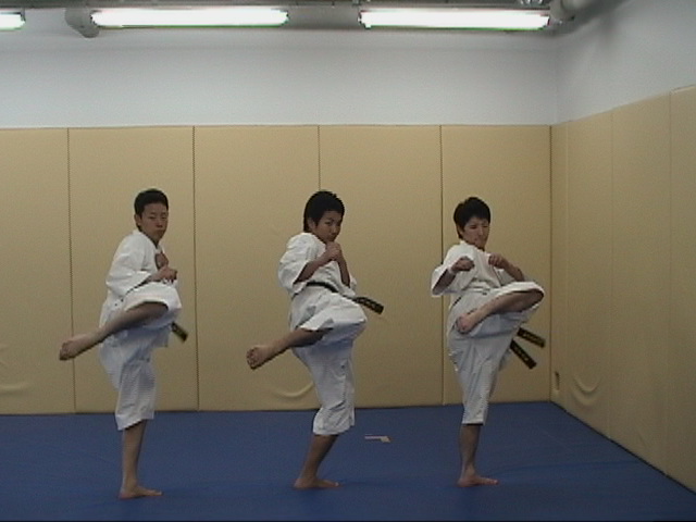 f:id:tokyohighschoolshorinjikempo:20170527081752j:plain f:id:tokyohighschoolshorinjikempo:20170527081752j:plain