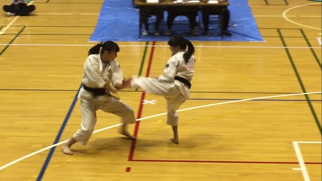 f:id:tokyohighschoolshorinjikempo:20170614212856j:plain