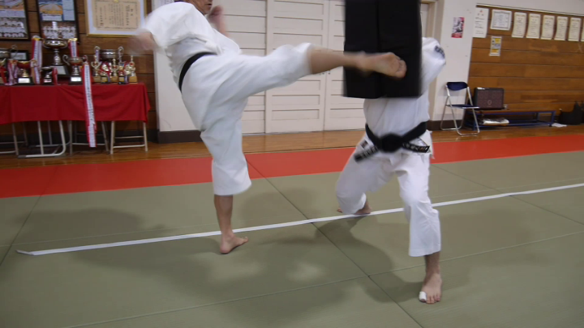f:id:tokyohighschoolshorinjikempo:20180408160055j:plain f:id:tokyohighschoolshorinjikempo:20180408160055j:plain