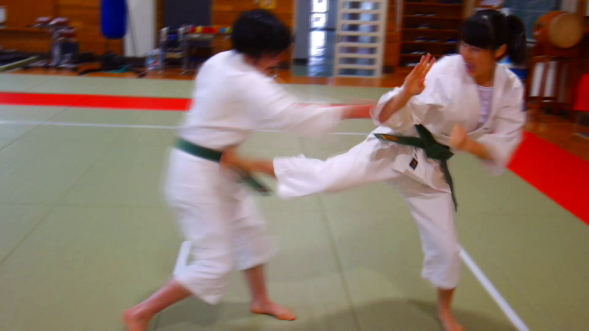 f:id:tokyohighschoolshorinjikempo:20180408184005j:plain f:id:tokyohighschoolshorinjikempo:20180408184005j:plain
