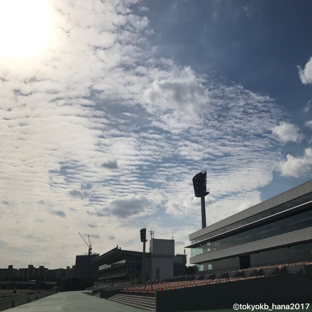 f:id:tokyokb_hana2017:20171005160935j:plain f:id:tokyokb_hana2017:20171005160935j:plain