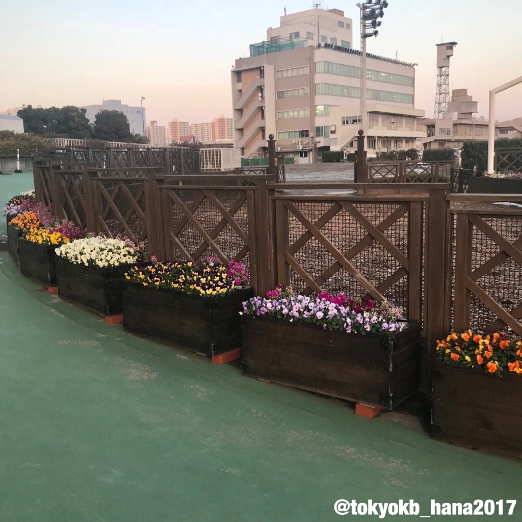 f:id:tokyokb_hana2017:20180123174131j:plain f:id:tokyokb_hana2017:20180123174131j:plain
