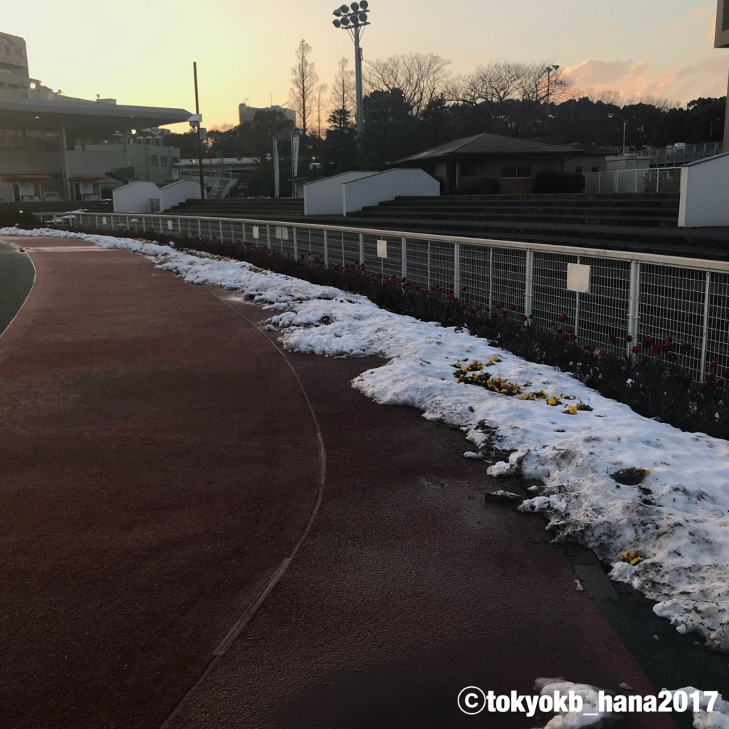 f:id:tokyokb_hana2017:20180123174212j:plain f:id:tokyokb_hana2017:20180123174212j:plain