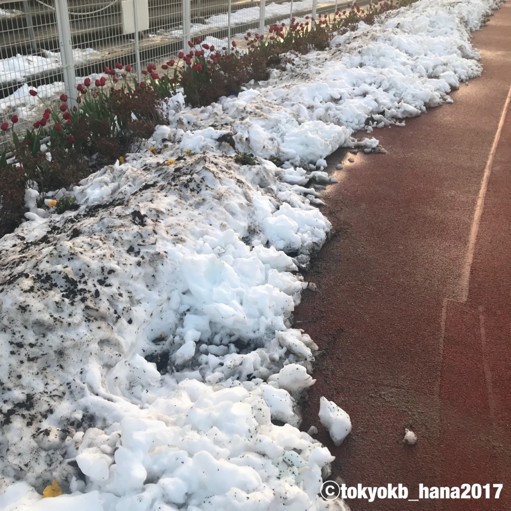 f:id:tokyokb_hana2017:20180123174233j:plain f:id:tokyokb_hana2017:20180123174233j:plain