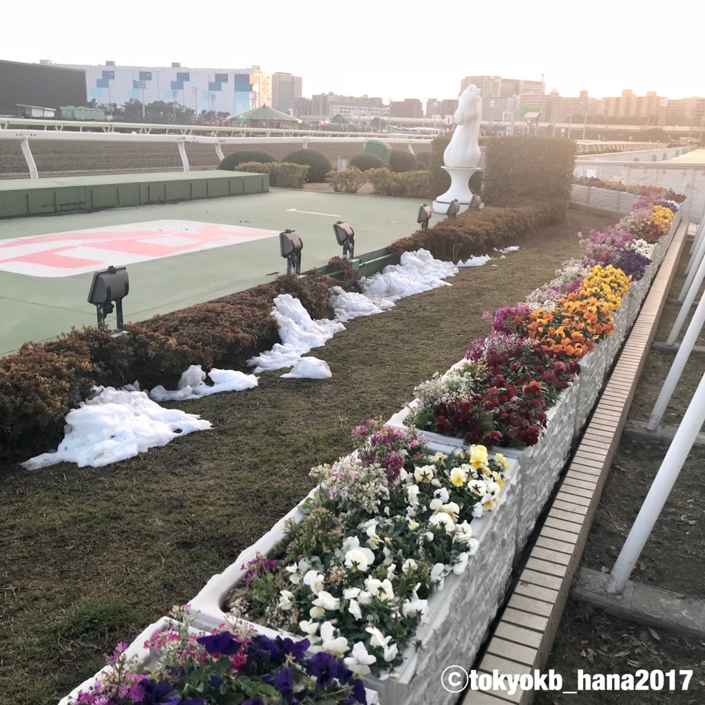 f:id:tokyokb_hana2017:20180123174351j:plain f:id:tokyokb_hana2017:20180123174351j:plain