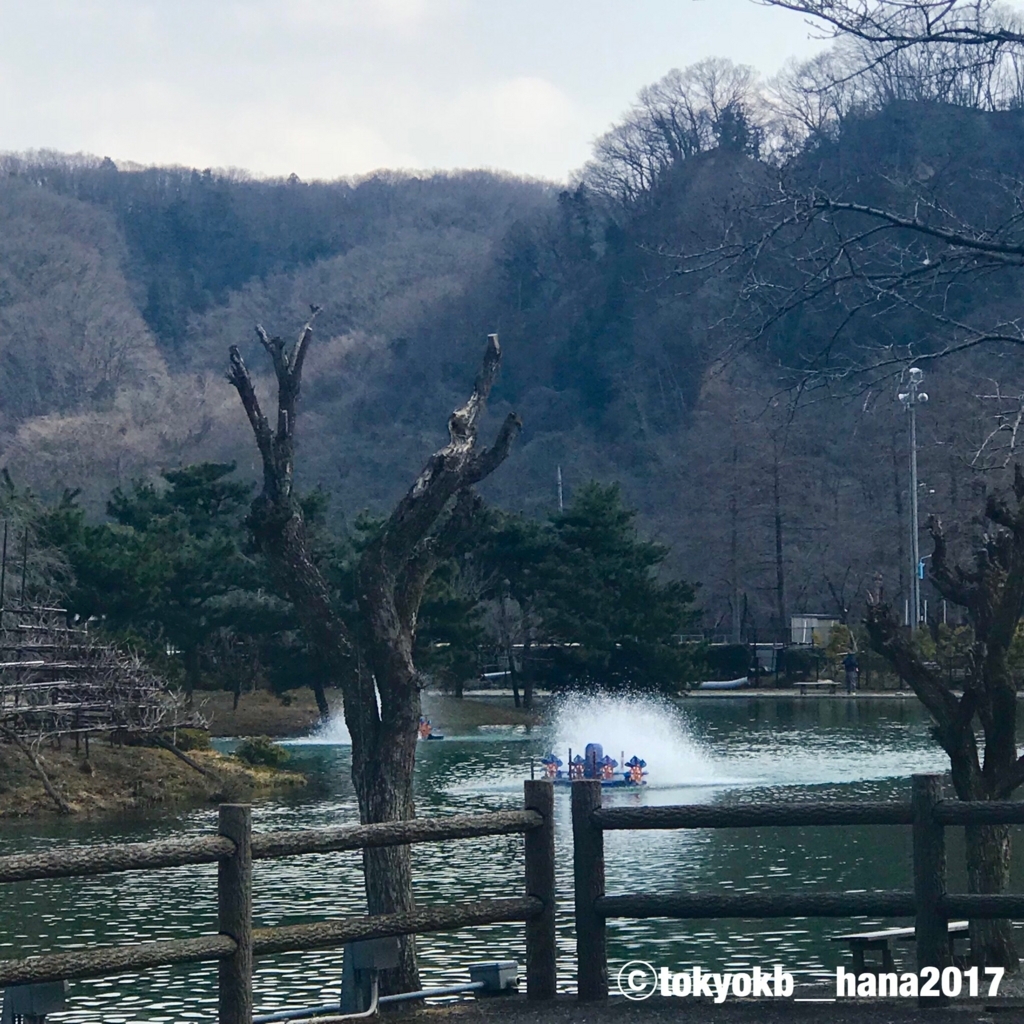 f:id:tokyokb_hana2017:20180305122000j:plain f:id:tokyokb_hana2017:20180305122000j:plain