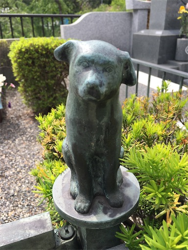 f:id:tokyomanatee:20200502153337j:image f:id:tokyomanatee:20200502153337j:image
