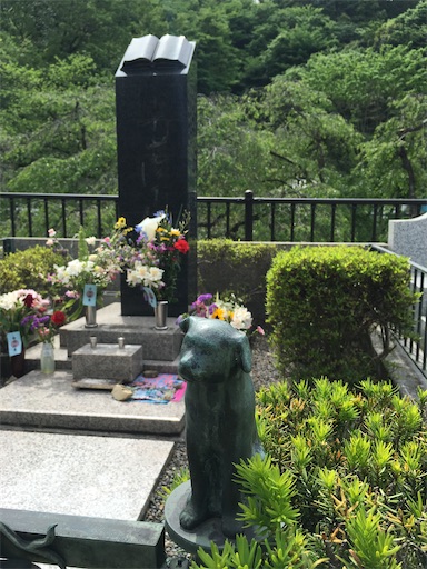 f:id:tokyomanatee:20200502153438j:plain f:id:tokyomanatee:20200502153438j:plain