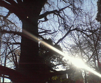 f:id:tokyomoon:20061231163111j:image:w150 f:id:tokyomoon:20061231163111j:image:w150