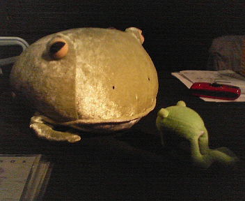 f:id:tokyomoon:20071025004331j:image:w250 f:id:tokyomoon:20071025004331j:image:w250
