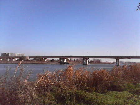 f:id:tokyomoon:20071210002604j:image:w300
