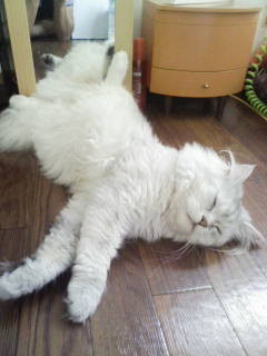 f:id:tokyomoon:20100913095530j:image