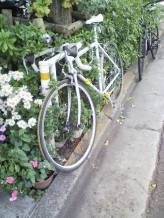 f:id:tokyomoon:20111206014151j:image f:id:tokyomoon:20111206014151j:image