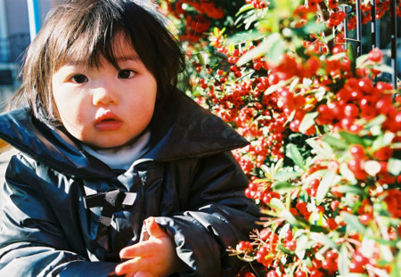 f:id:tokyomoon:20111226183627j:image f:id:tokyomoon:20111226183627j:image