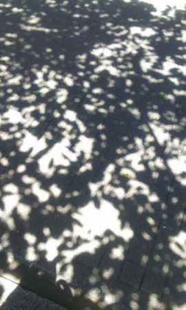 f:id:tokyomoon:20120801015709j:image