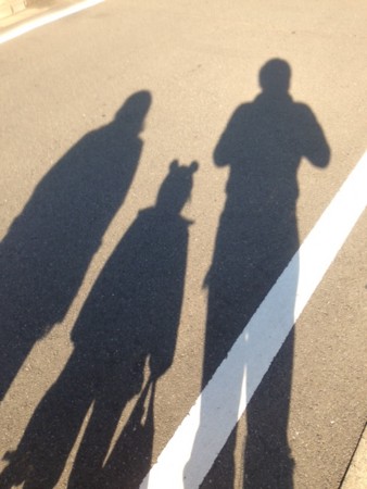 f:id:tokyomoon:20140106014822j:image
