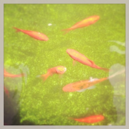 f:id:tokyomoon:20140426005603j:image f:id:tokyomoon:20140426005603j:image