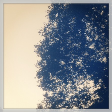 f:id:tokyomoon:20141021003830j:image