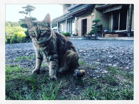 f:id:tokyomoon:20180821103103j:image