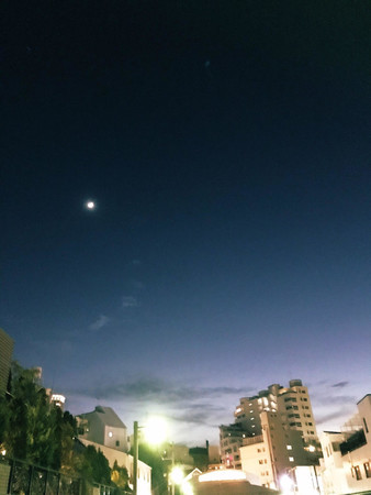 f:id:tokyomoon:20190116113003j:image f:id:tokyomoon:20190116113003j:image