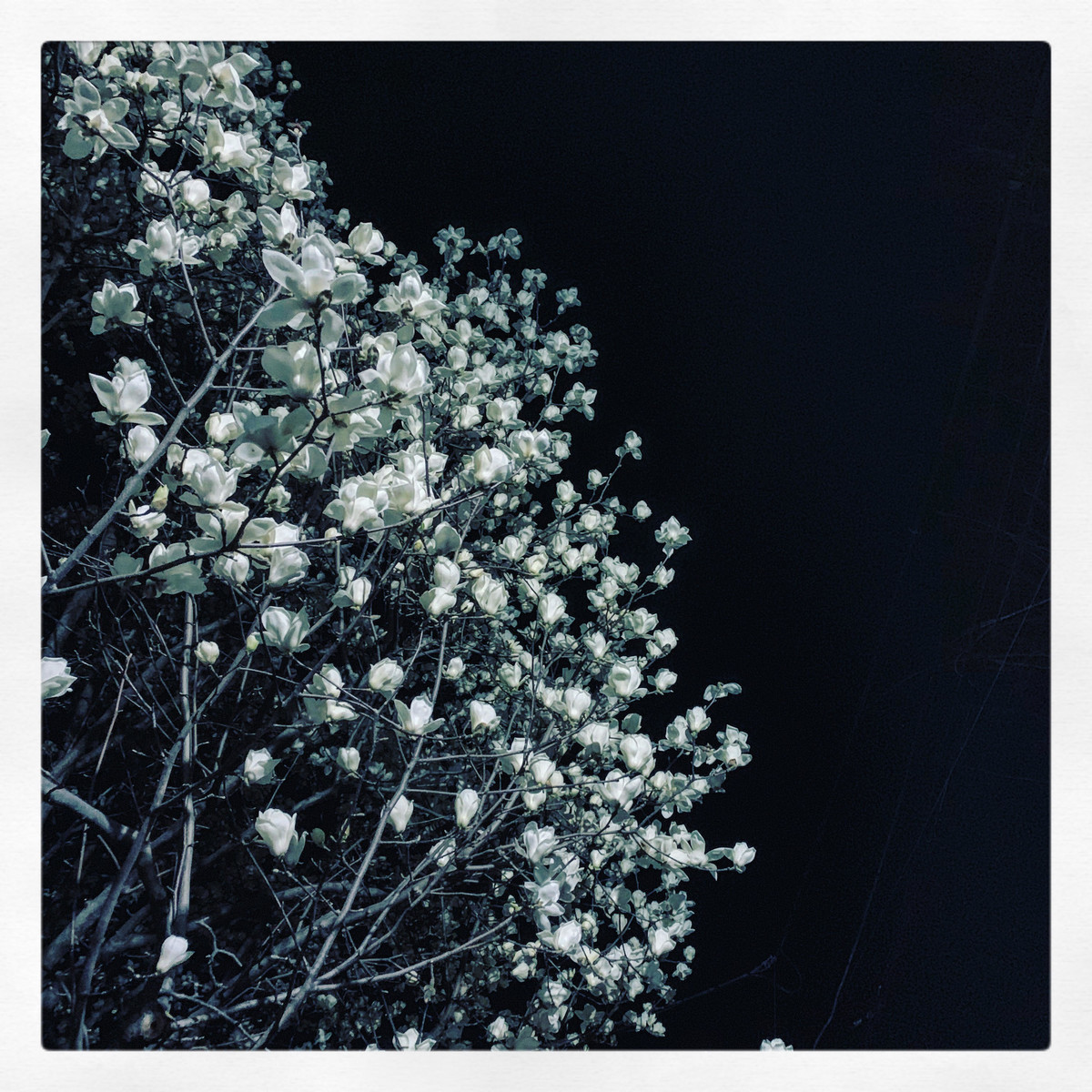 f:id:tokyomoon:20190319093622j:plain f:id:tokyomoon:20190319093622j:plain
