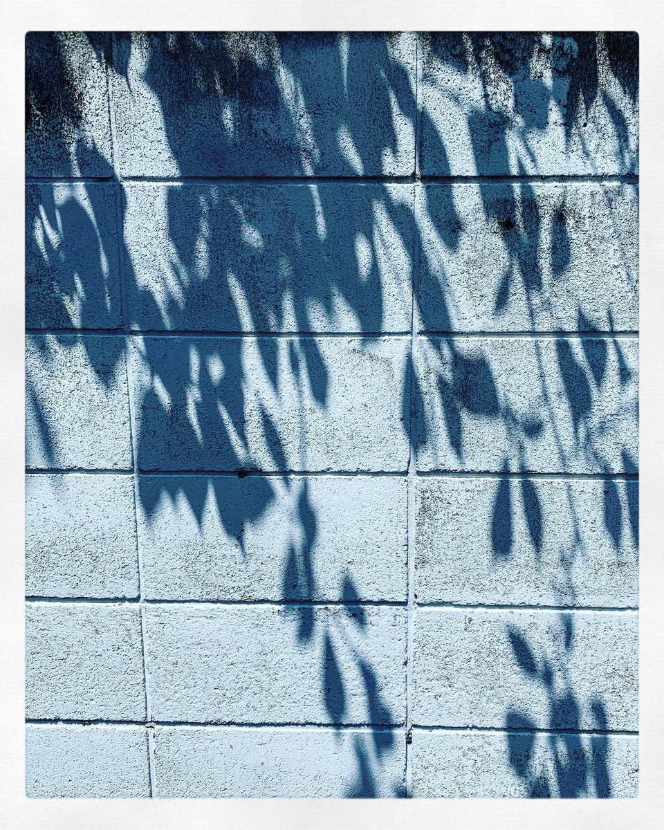 f:id:tokyomoon:20190422010326j:plain f:id:tokyomoon:20190422010326j:plain