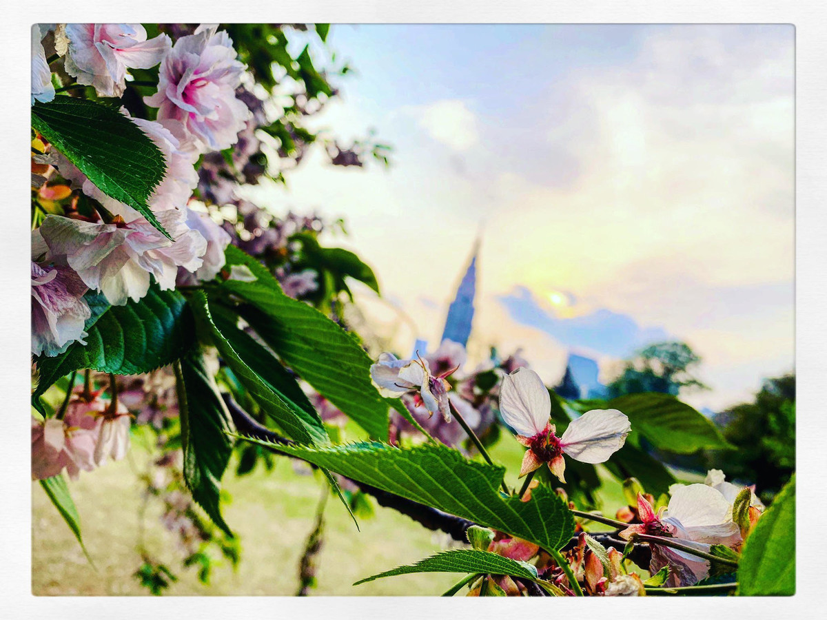 f:id:tokyomoon:20190422010410j:plain f:id:tokyomoon:20190422010410j:plain
