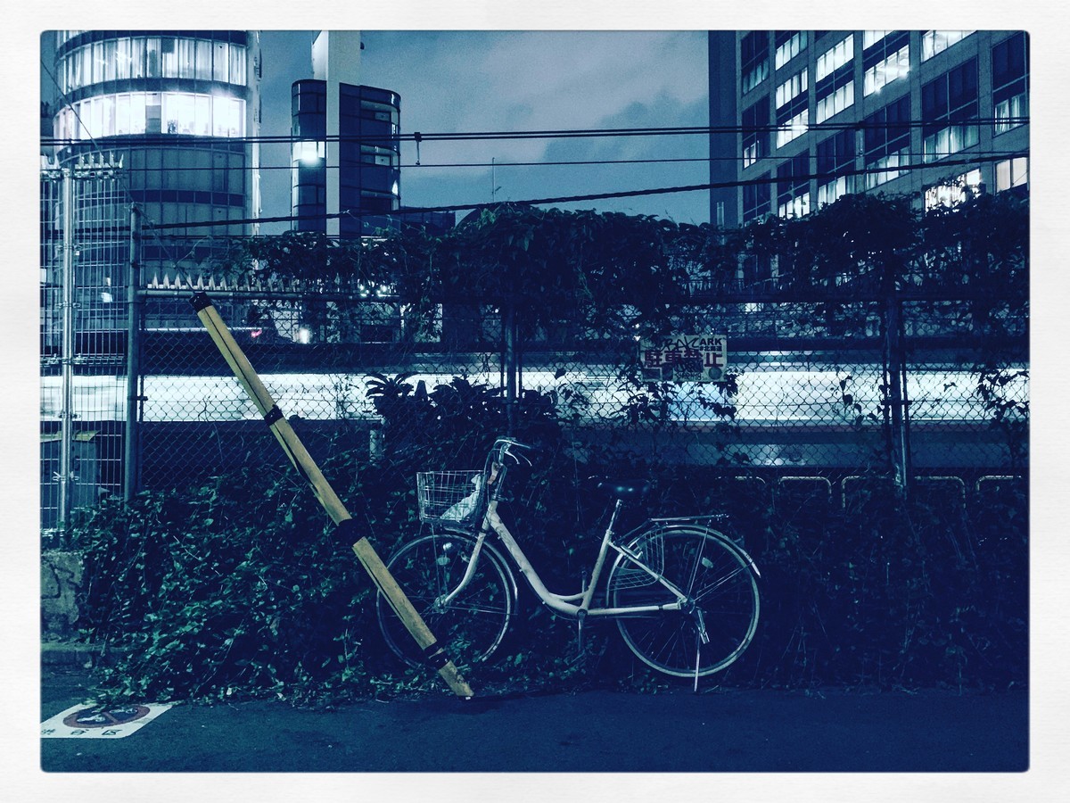 f:id:tokyomoon:20190612070126j:plain