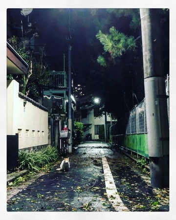 f:id:tokyomoon:20191015192542j:image