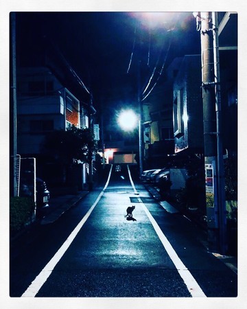 f:id:tokyomoon:20191015192553j:image
