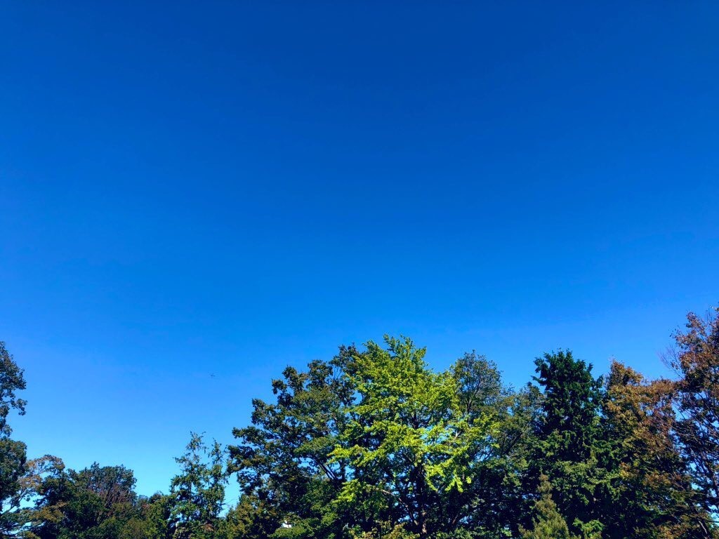 f:id:tokyomoon:20191024185228j:plain